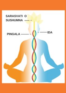 NADI CANALI ENERGETICI