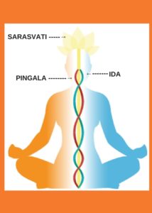 Nadi canali energetici