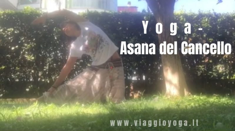 asana del cancello